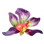 Purple Orchid