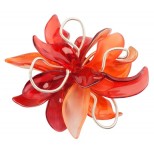 Orange Bloom
