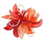 Orange Bloom