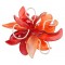 Orange Bloom