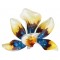 Blue Orchid