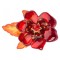 Red Flower
