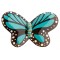 Blue Butterfly