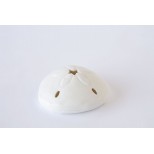 Pansy Shell T-Light - En Vogue Shopping - Home gifts and furnishings-Luna Del Mar-HD024